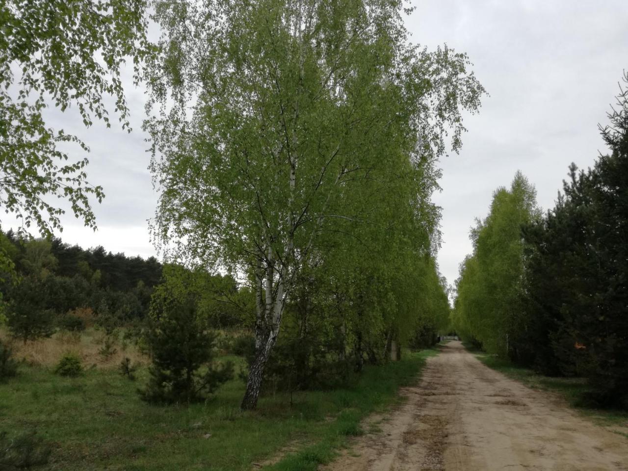 Szydlowiec Anastazewo Buitenkant foto